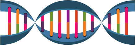 Molecule Of Dna - Dna (550x550)
