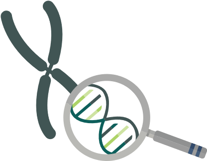 Dna - Storage Cable (512x343)