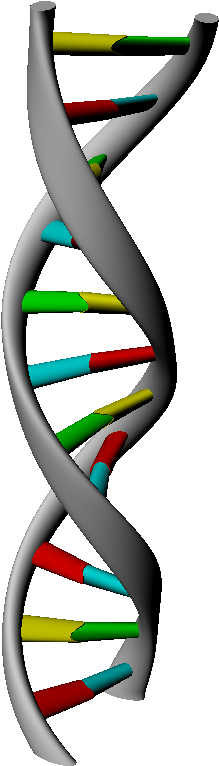 3d Dna Strand Rendering - 3d Dna Strand Rendering (1440x810)