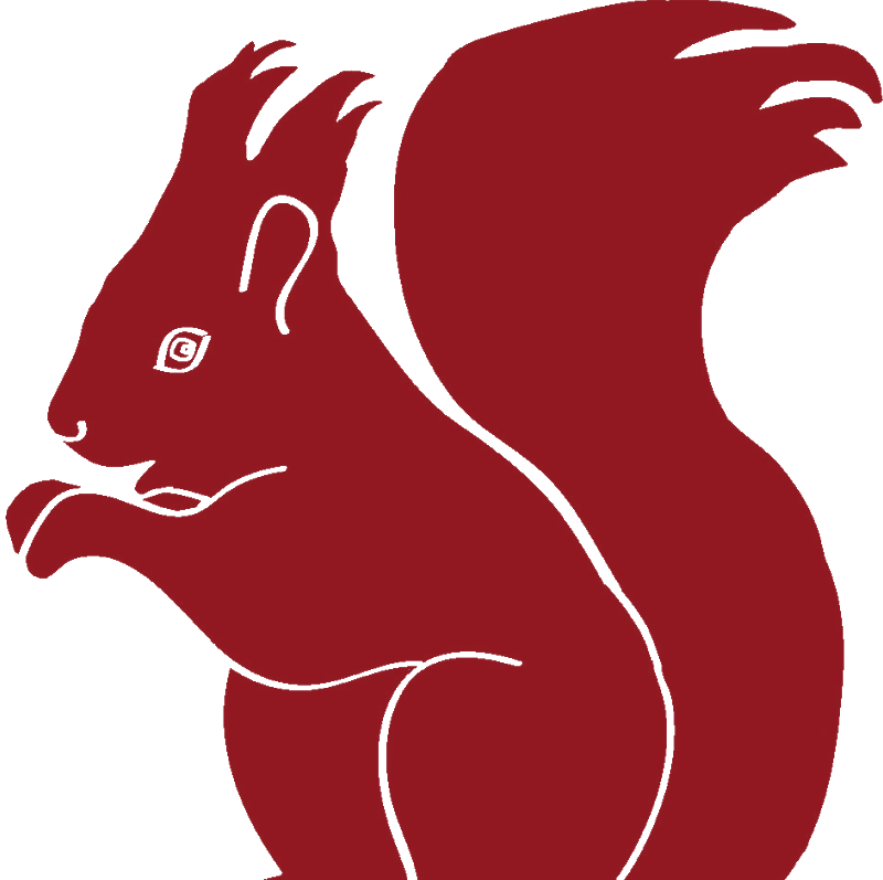 Red Squirrel (800x797)