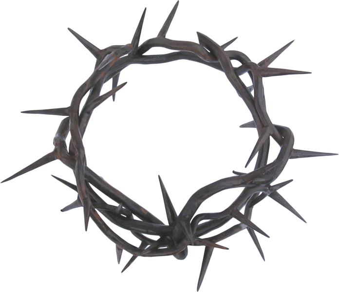 Crown Of Thorns Thorns, Spines, And Prickles Clip Art - Crown Of Thorns Thorns, Spines, And Prickles Clip Art (696x600)