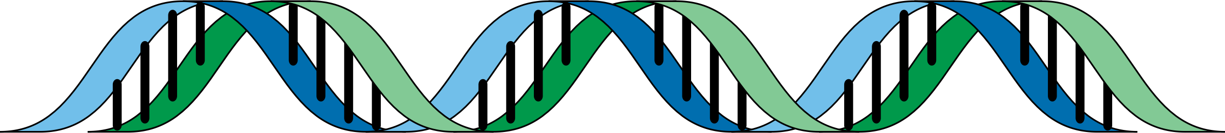 Big Image - Dna Clip Art (3115x340)