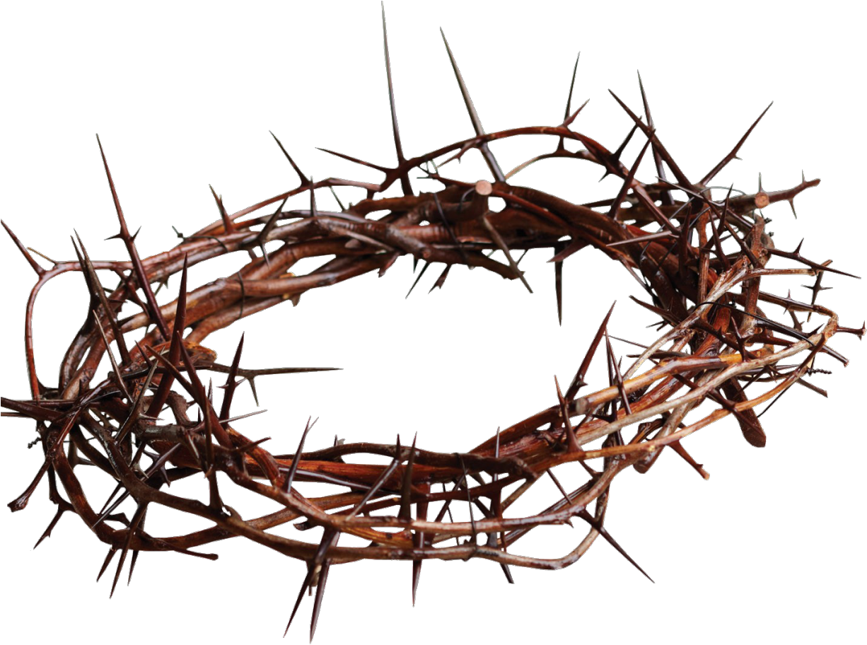 Crown Of Thorns Christian Cross Gospel Thorns, Spines, - Crown Of Thorns Christian Cross Gospel Thorns, Spines, (1280x911)