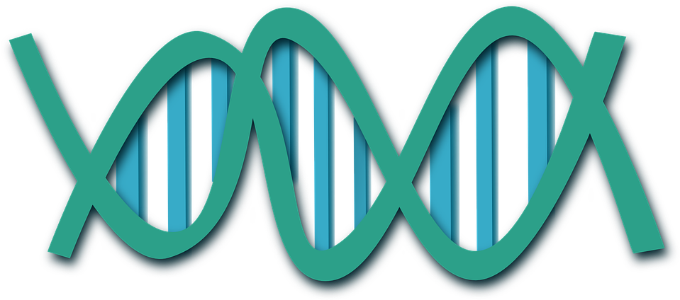 Dna Clipart - Dna Clip Art (960x480)