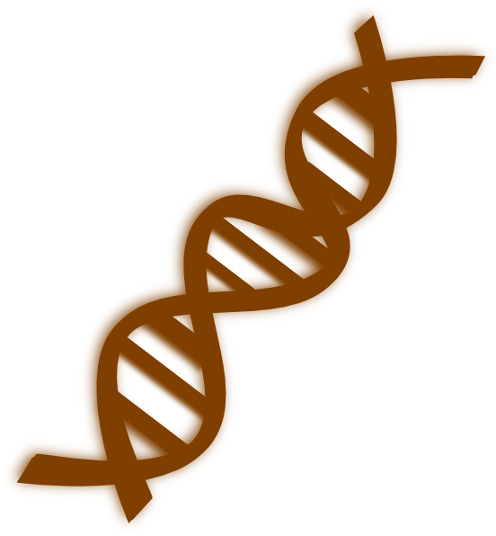 Dna Clip Art At Clker - Dna (552x596)