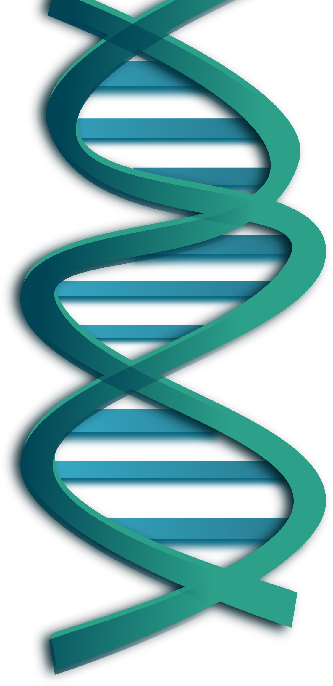 Big Image - Dna Clip Art (3200x2400)