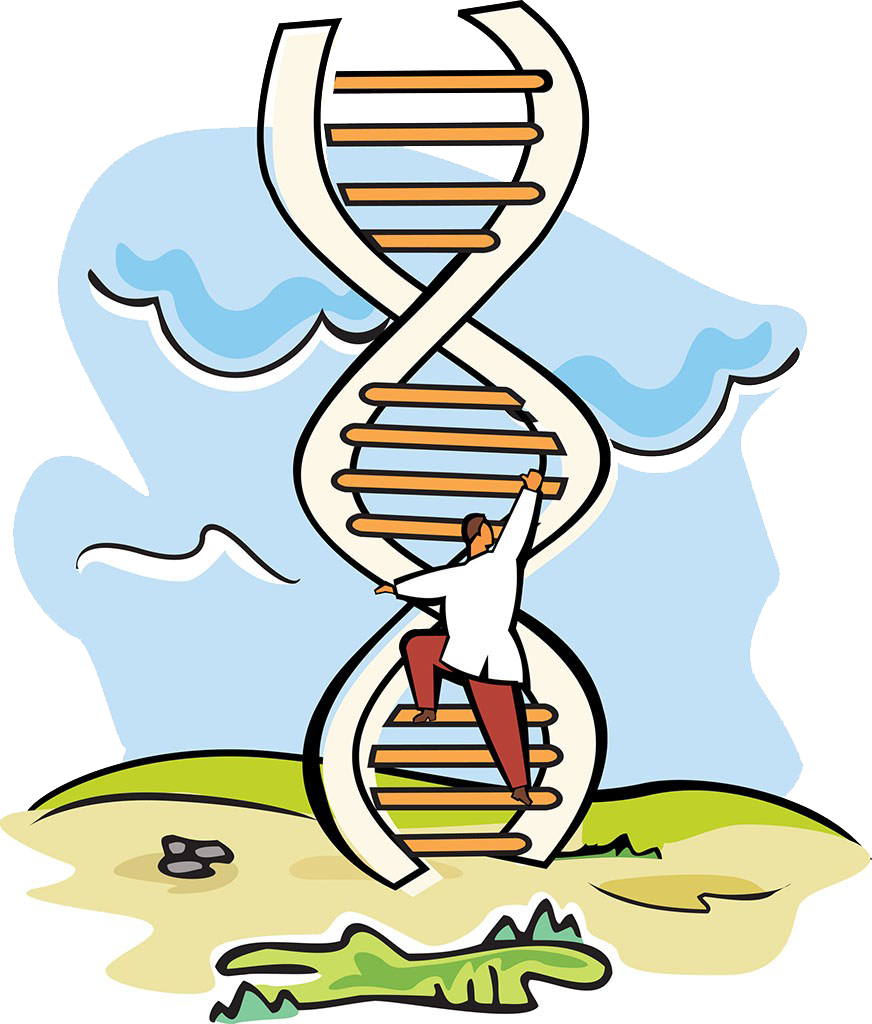 A Dna Scientist Stock Photography Molecular Weight - A Dna Scientist Stock Photography Molecular Weight (872x1024)
