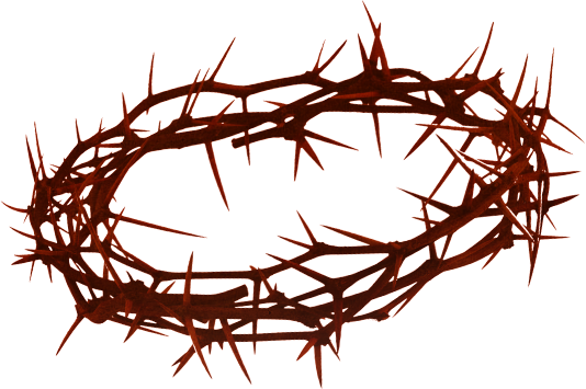 Universal Utterings - Clear Background Crown Of Thorns Png (534x355)