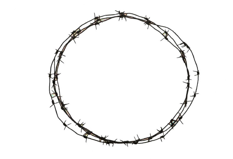 Barbed Wire Circle Png (1000x666)