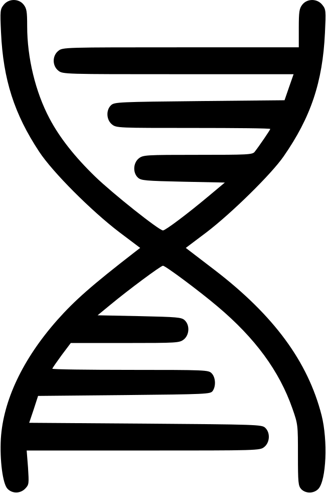Dna Science Biometric Data Medical Education Matching - Dna Double Helix Png (650x981)