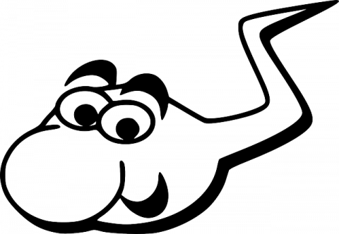 Y Dna And Autosomal Are Inherited Separately, They - Sperma Clipart (480x332)