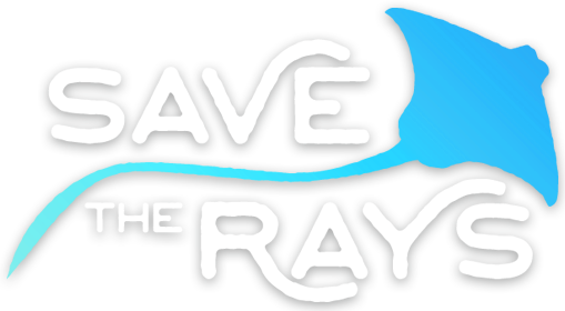 Working To Ban Killing Contests On The Chesapeake Bay - Tampa Bay Rays (509x280)