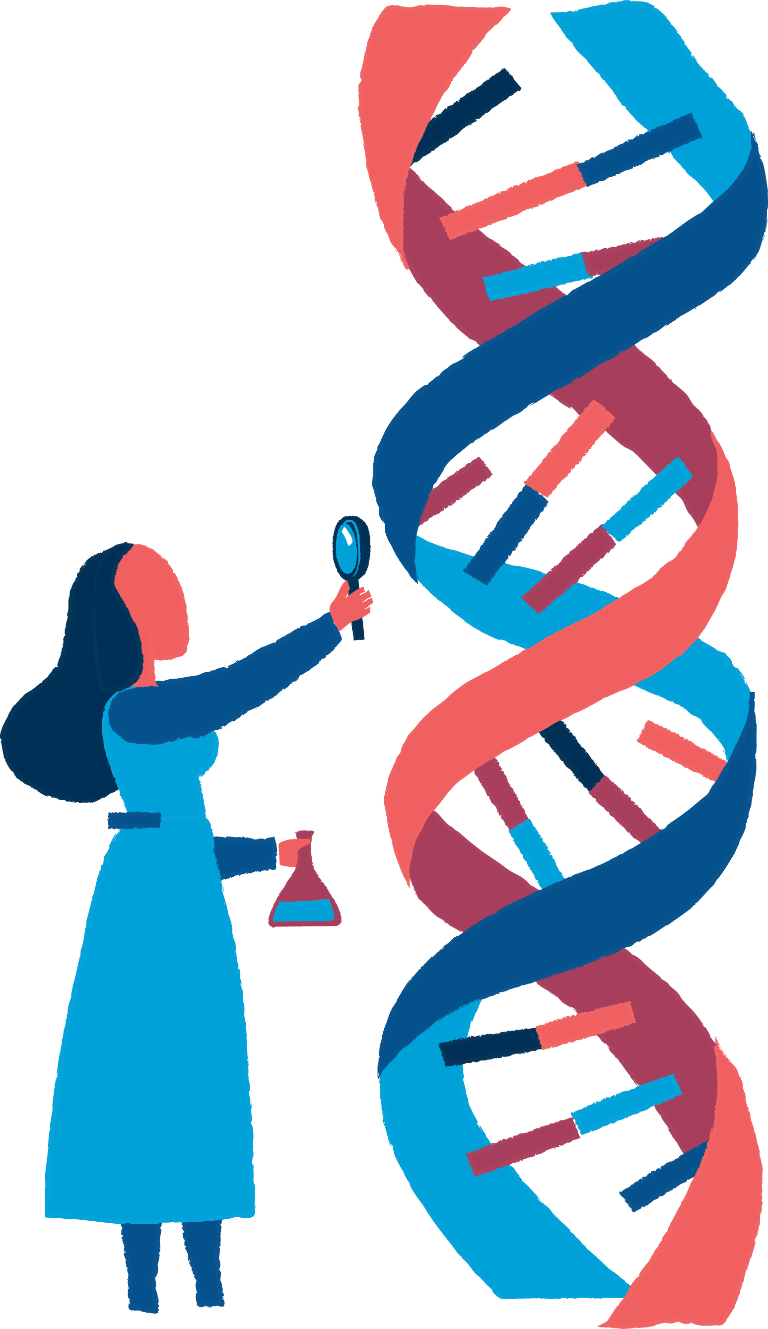 Science Euclidean Vector Biology Dna - Science Euclidean Vector Biology Dna (1547x2677)