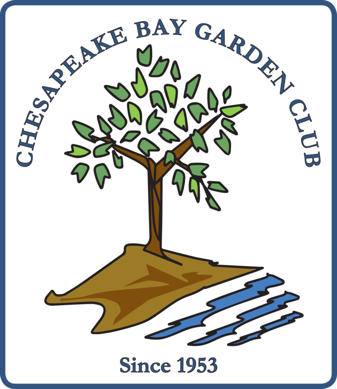 Golden Key International Honour Society (678x784)