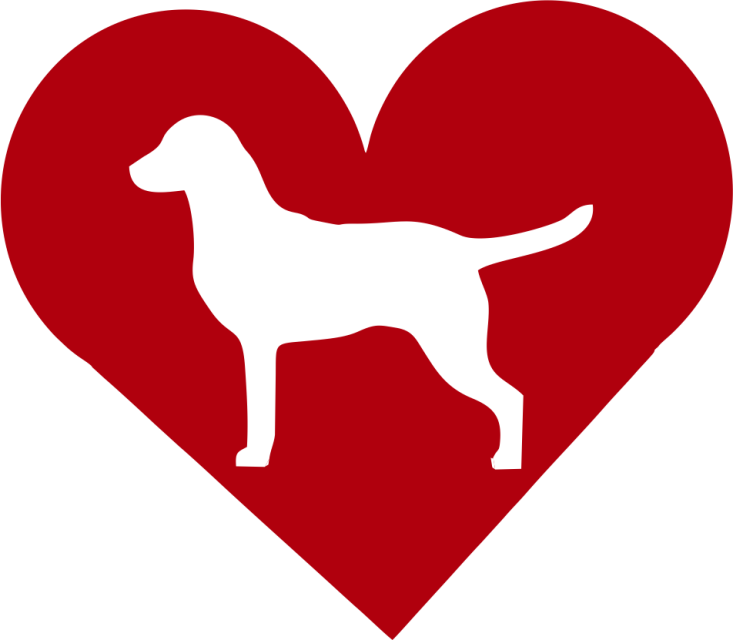 Chesapeake Bay Retriever In Heart Outdoor Vinyl Silhouette - Armant, Egypt (733x640)