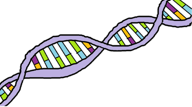 All Cells Give Rise To New Cells Through Dna Replication - All Cells Give Rise To New Cells Through Dna Replication (623x350)