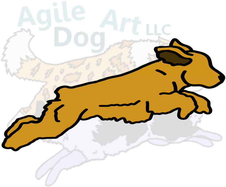 Picture - Cardigan Welsh Corgi (800x800)