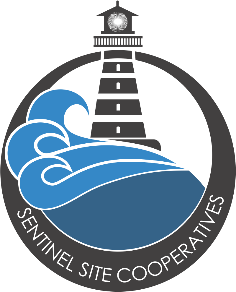 Sentinel Site Logo - Sticker (810x987)