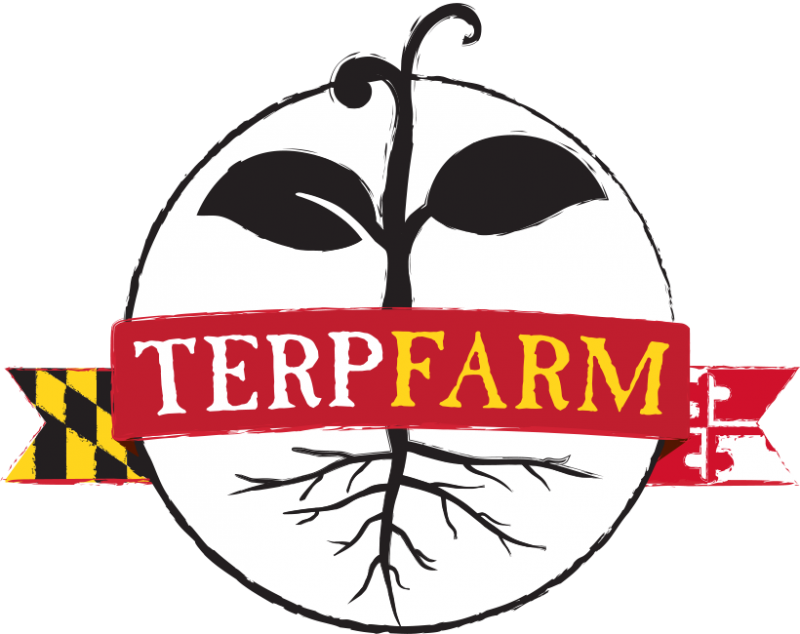 Dining Services Has Its Very Own Vegetable Farm And - Terp Farm (800x634)