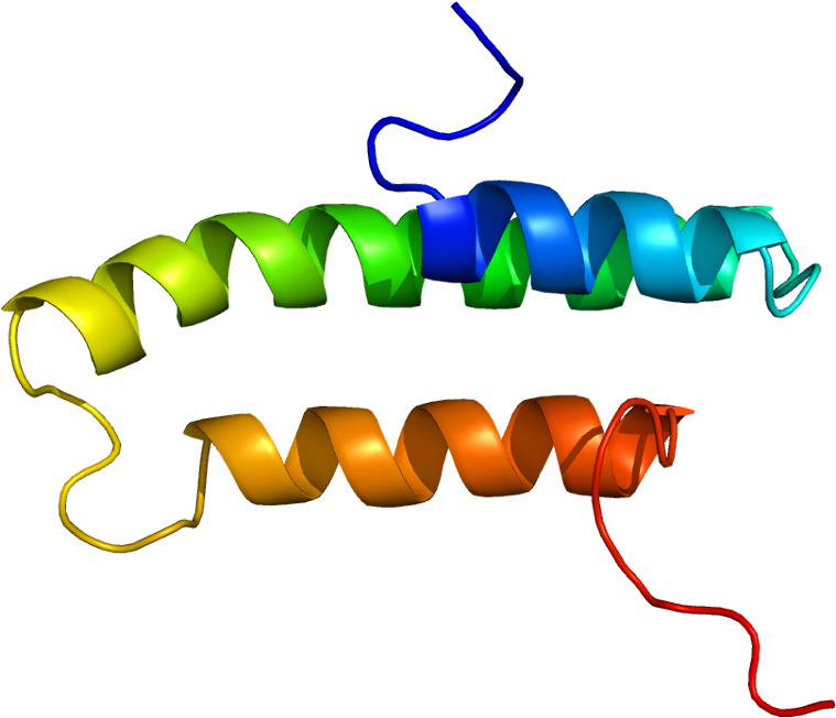 Lrpap1 Protein Structure (808x701)