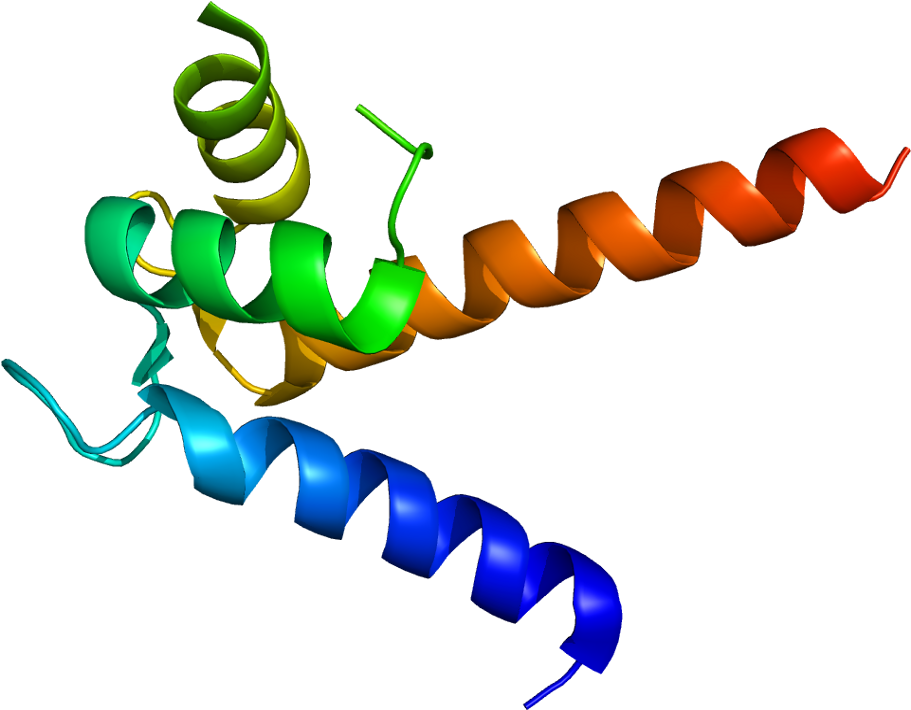 Protéine S100p Structure (960x759)