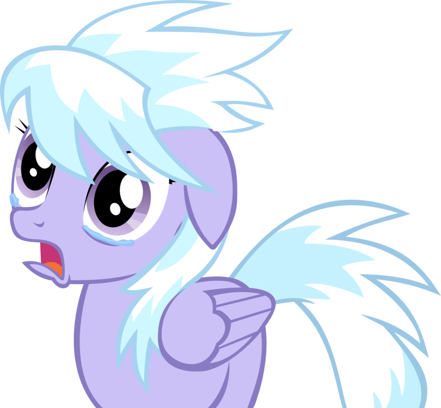 Pony Rainbow Dash Twilight Sparkle Blue Mammal Cartoon - My Little Pony Cloudchaser (900x834)