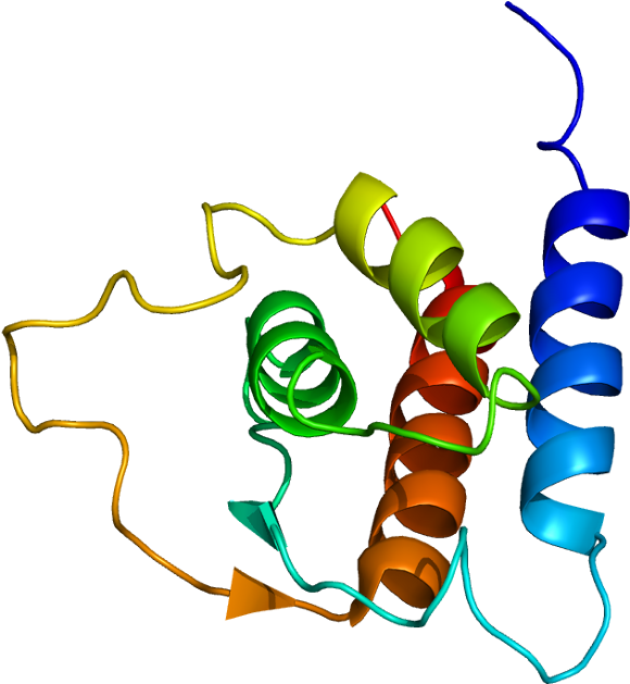 Interleukin 13 (629x678)