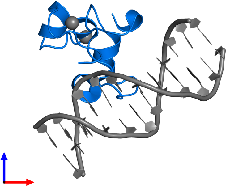 <div Class='caption-body'>pdb Entry 3qmc Contains 1 - Graphic Design (800x800)