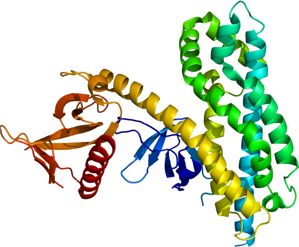 Protein Arhgef4 Pdb - Protein (1023x853)