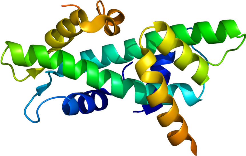 Protein Nfyb Pdb 1n1j - Tfiib 3d (910x595)