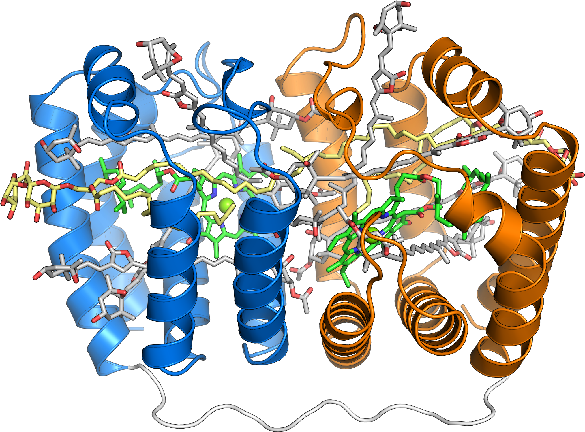 1ppr Peridinin Chlorophyll Protein - Complex Protein (2048x1596)