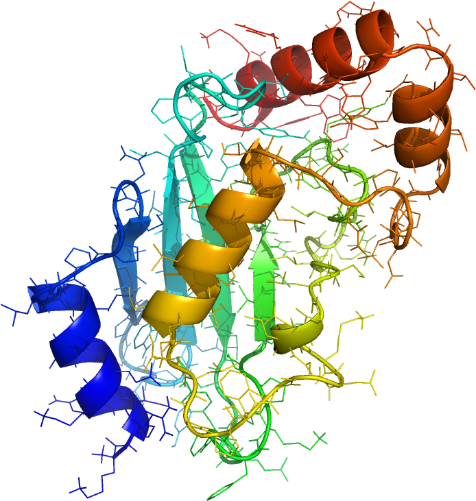 This Reaction Refers To The Post-translational Modification - Caterpillar (726x772)