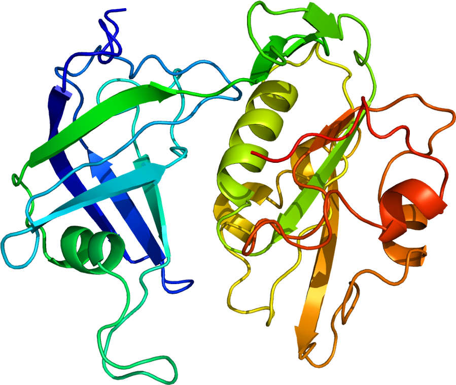 Protein Cyb5r3 Pdb 1ndh - Cyb5r3 Gene (948x808)
