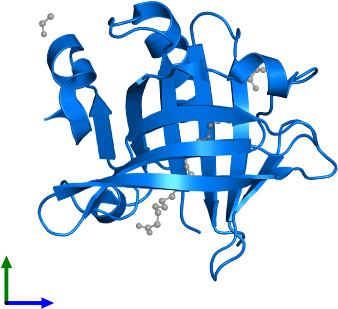 <div Class='caption-body'>pdb Entry 4dq3 Contains 1 - Β Lactoglobulina Png (800x800)