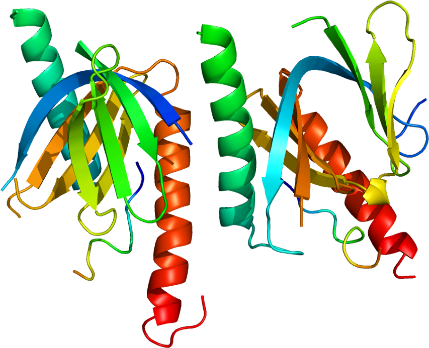 Protein Apba1 Pdb 1aqc - Protein Data Bank (902x742)