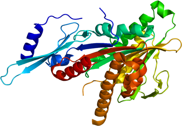 320 × 227 Pixels - Kif2a Christal Structure (640x454)