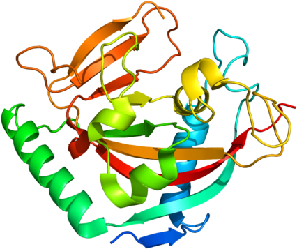 288 × 240 Pixels - Protein Png (576x480)