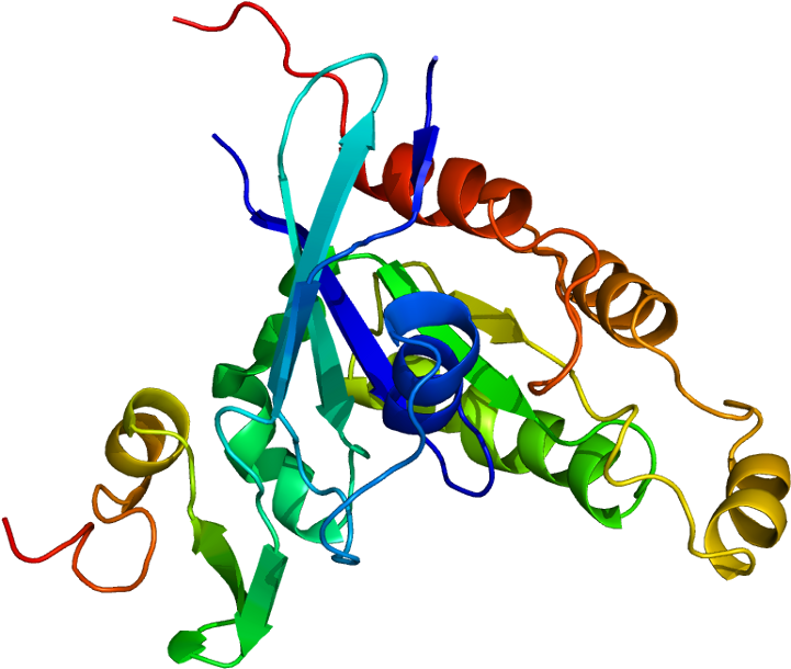 P21 Binding Domain Pak (770x659)