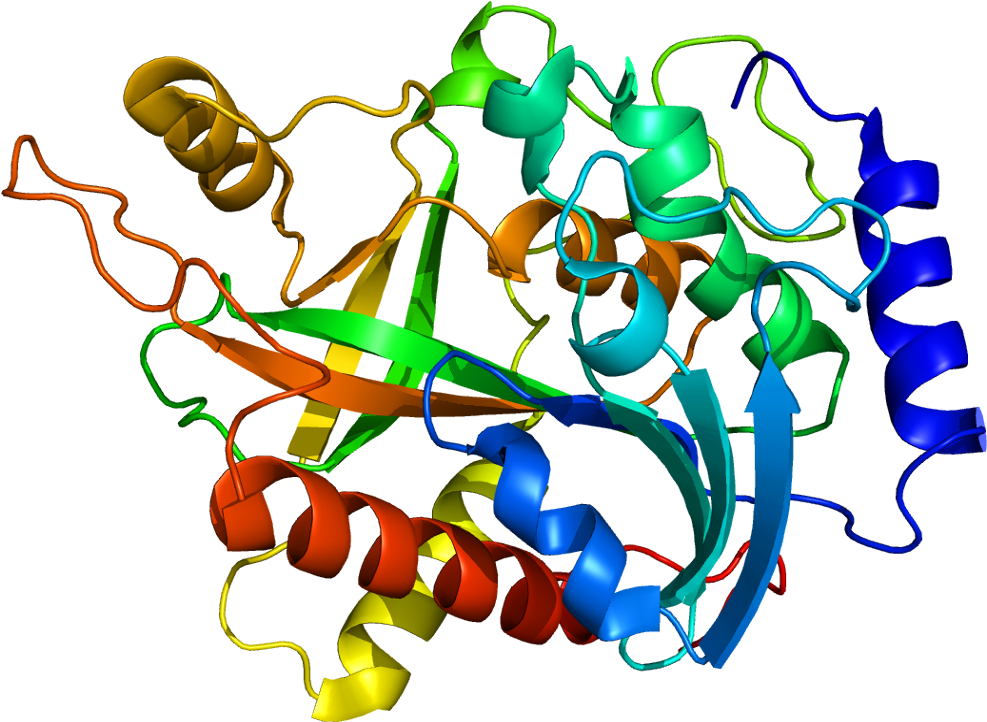 Protein Np Pdb 1m73 - Protein (1036x771)