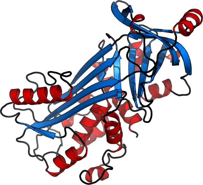Science - Protein Structure Cartoon (646x588)