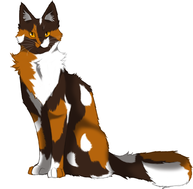 Blossomfall By Lithestep Blossomfall - Blossomfall Warriors (782x744)