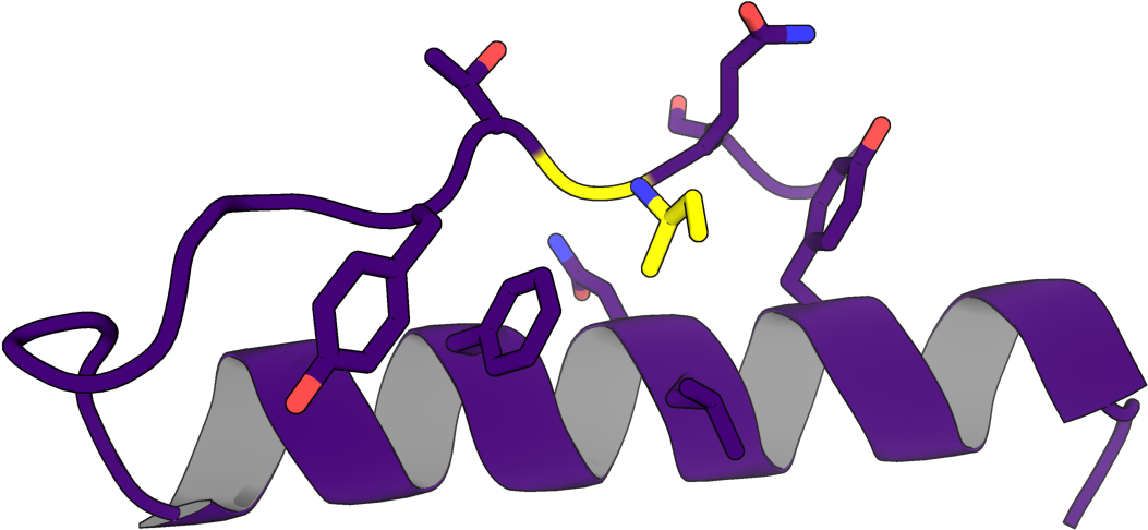 Protein Design With Rosetta - Protein Design (1530x500)