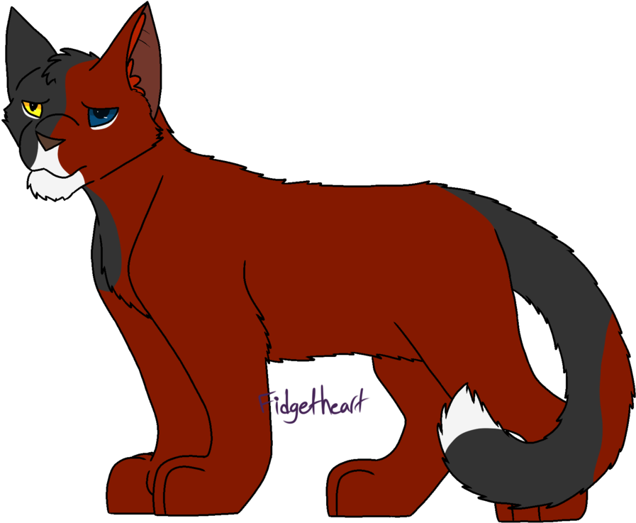 Tico {warriors} By Fidgetheart - Puma (1024x755)