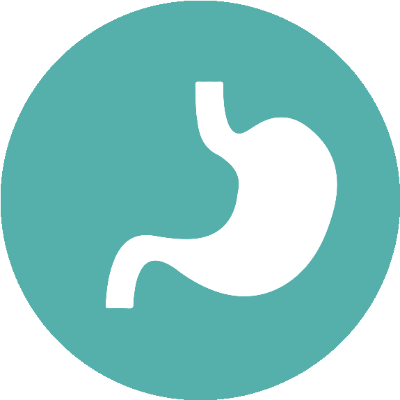 Vegetarian - Illustration (600x600)