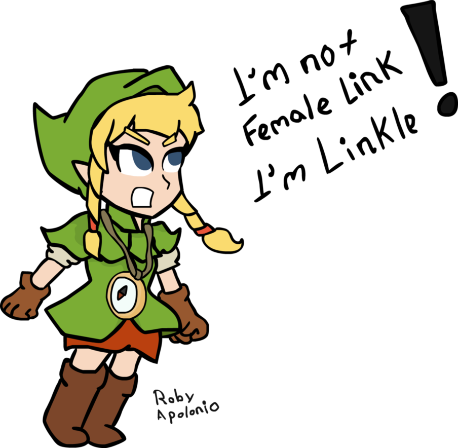 Linkle Isn't Female Link Hyrule Warriors Legends By - Hyrule Warriors (904x884)