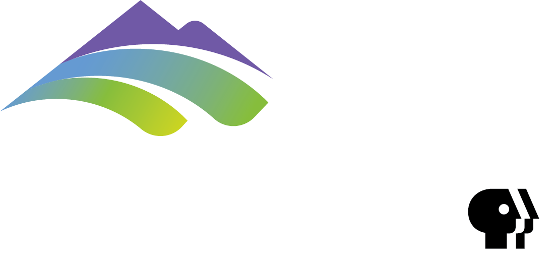 For On Air And Online Primary Acronym Logo - Pbs Logos (1103x538)