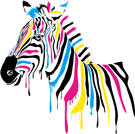 Color Graphic Design - Color Graphic Design (1026x969)