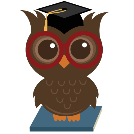 Wise Owl Vector - Wise Owl (432x432)
