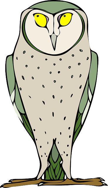 Free Vector Staring Standing Owl Clip Art - Owl Clip Art (368x640)