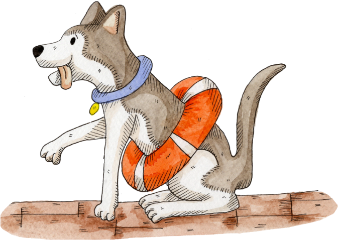 Dash And Flash, Hannah's Phonics Story Resource Pack, - Czechoslovakian Wolfdog (672x504)